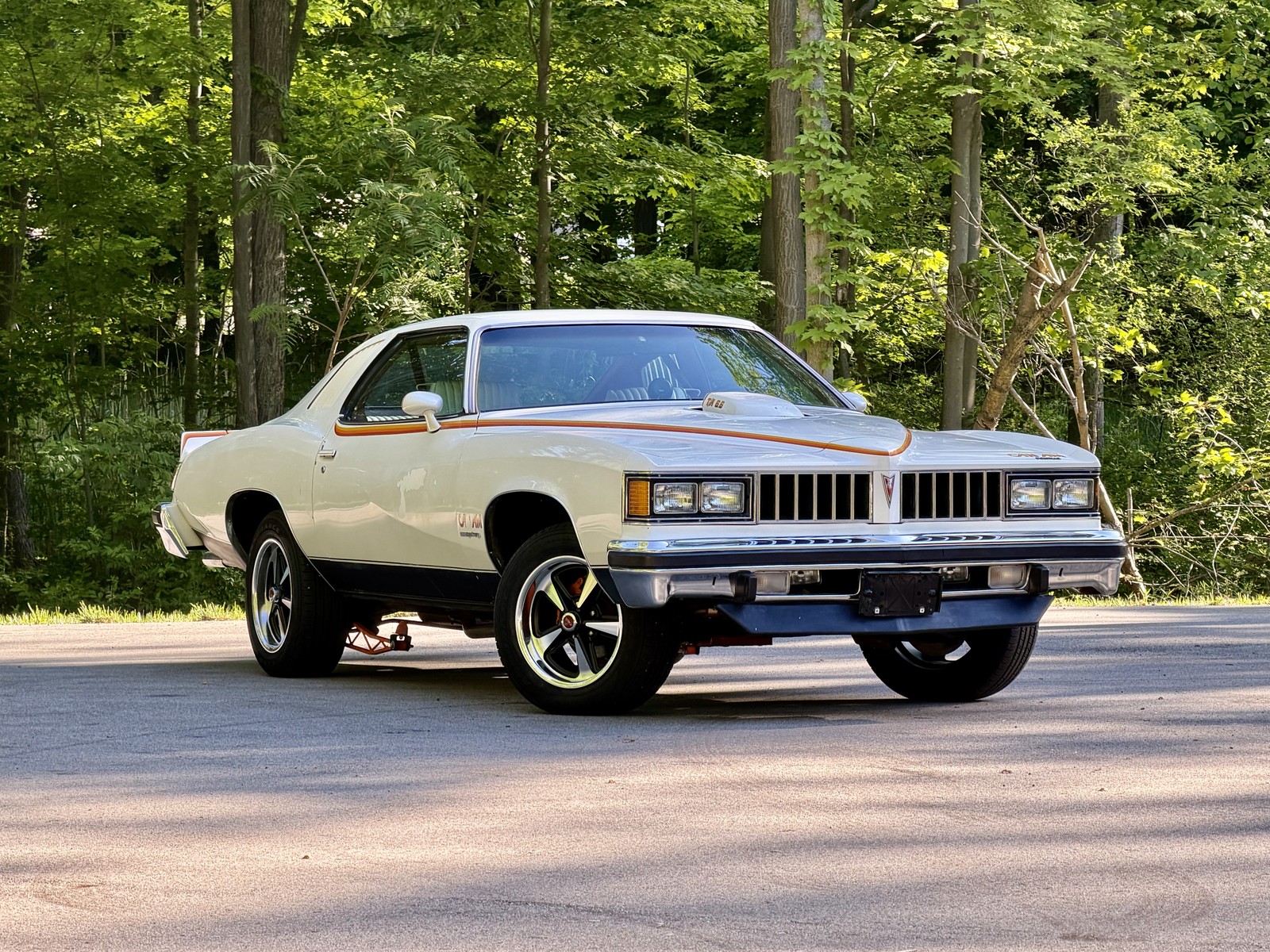 1977 Pontiac LeMans for sale in Saugatuck Michigan