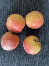 Pêches anciennes en pierre  