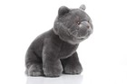 Lifelike British Shorthair Cat Plush Stuffed Animal Toy British Shorthair Cat.