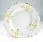 Walbrzych China  Poland SPRING TIME Rimmed Soup Bowl(s)