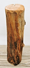8" Apple Wood Stick Log Chunk 2 1/2"D Straight Spalted Driftwood