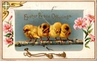 Vintage 1910 Easter Postcard with Five Yellow Chicks and Flowers