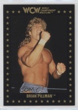 1991 Championship Marketing WCW Brian Pillman #11 11pj