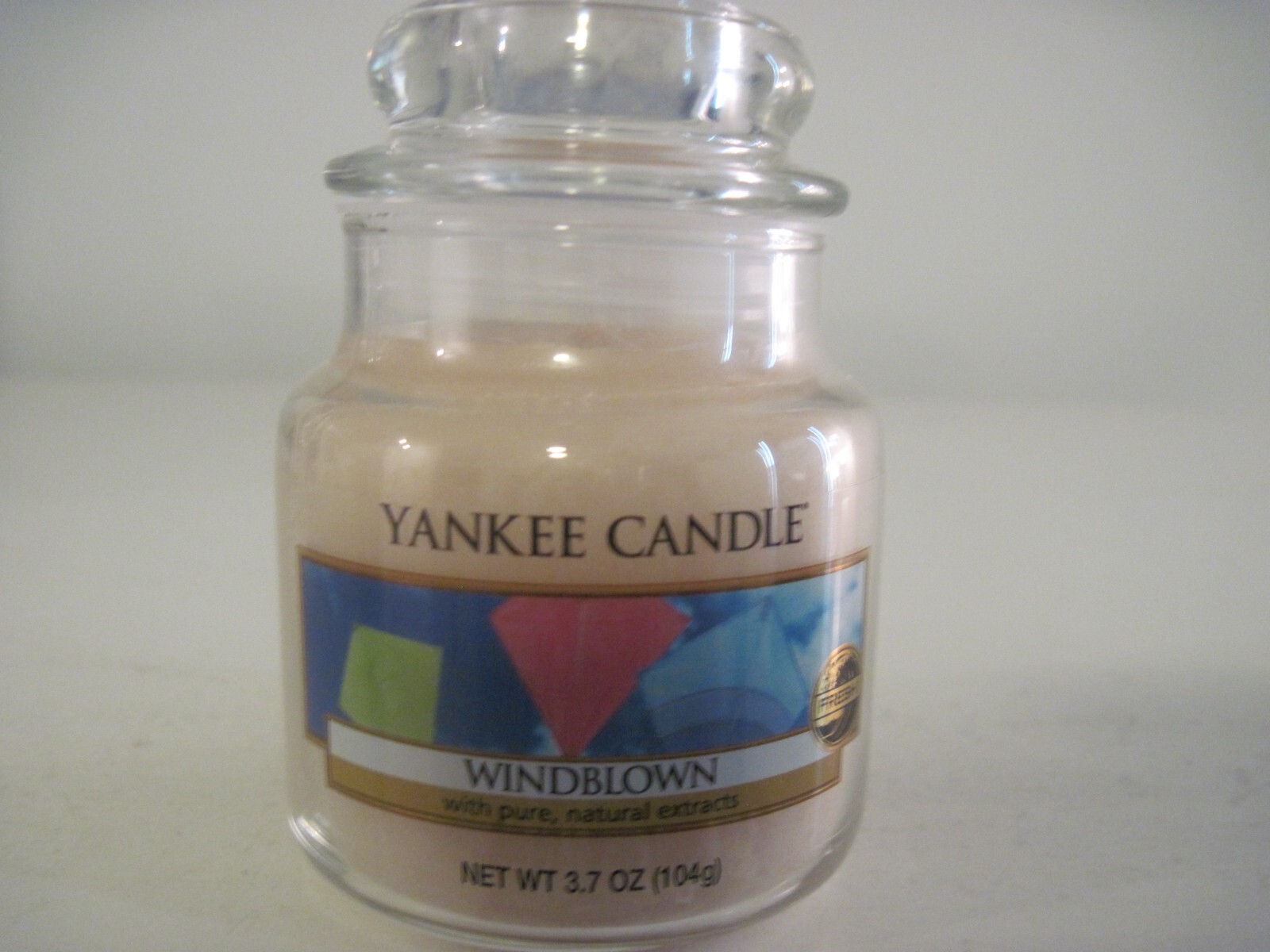 YANKEE CANDLE WINDBLOWN SMALL CANDLE
