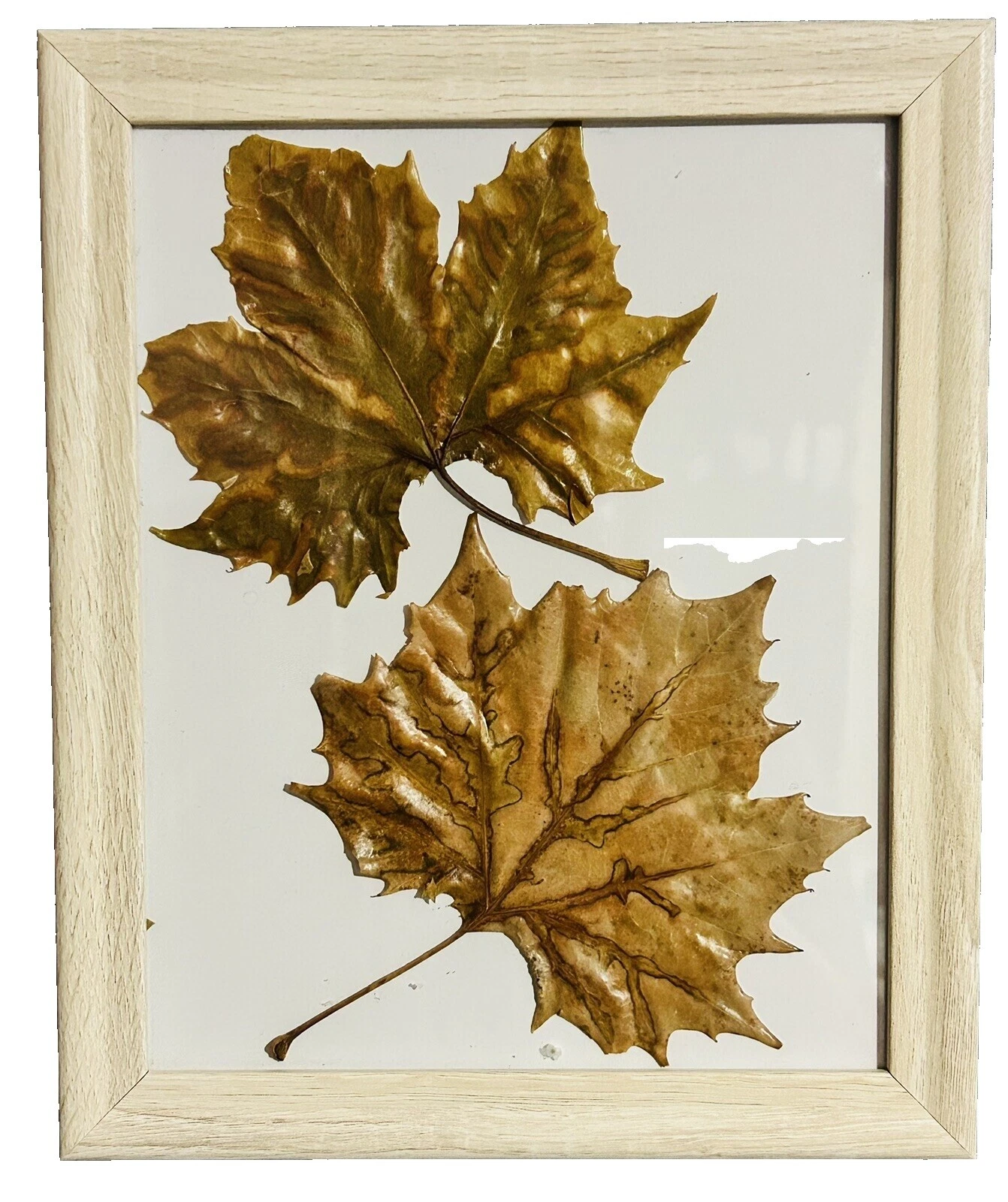 Medium Original Home Décor Posters & Prints