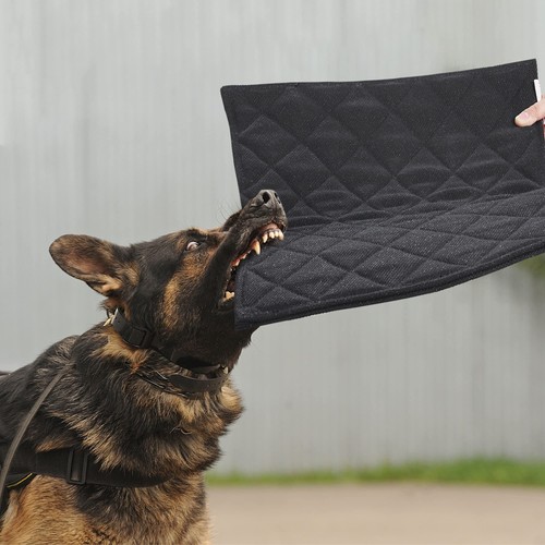 Indestructible Dog Beds - Chew Proof Crate Pad for Aggressive Chewers ...