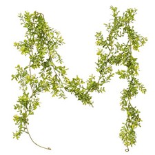 Vickerman 6' Artificial Green Boxwood Modern Garland - Greenery Garland - Faux