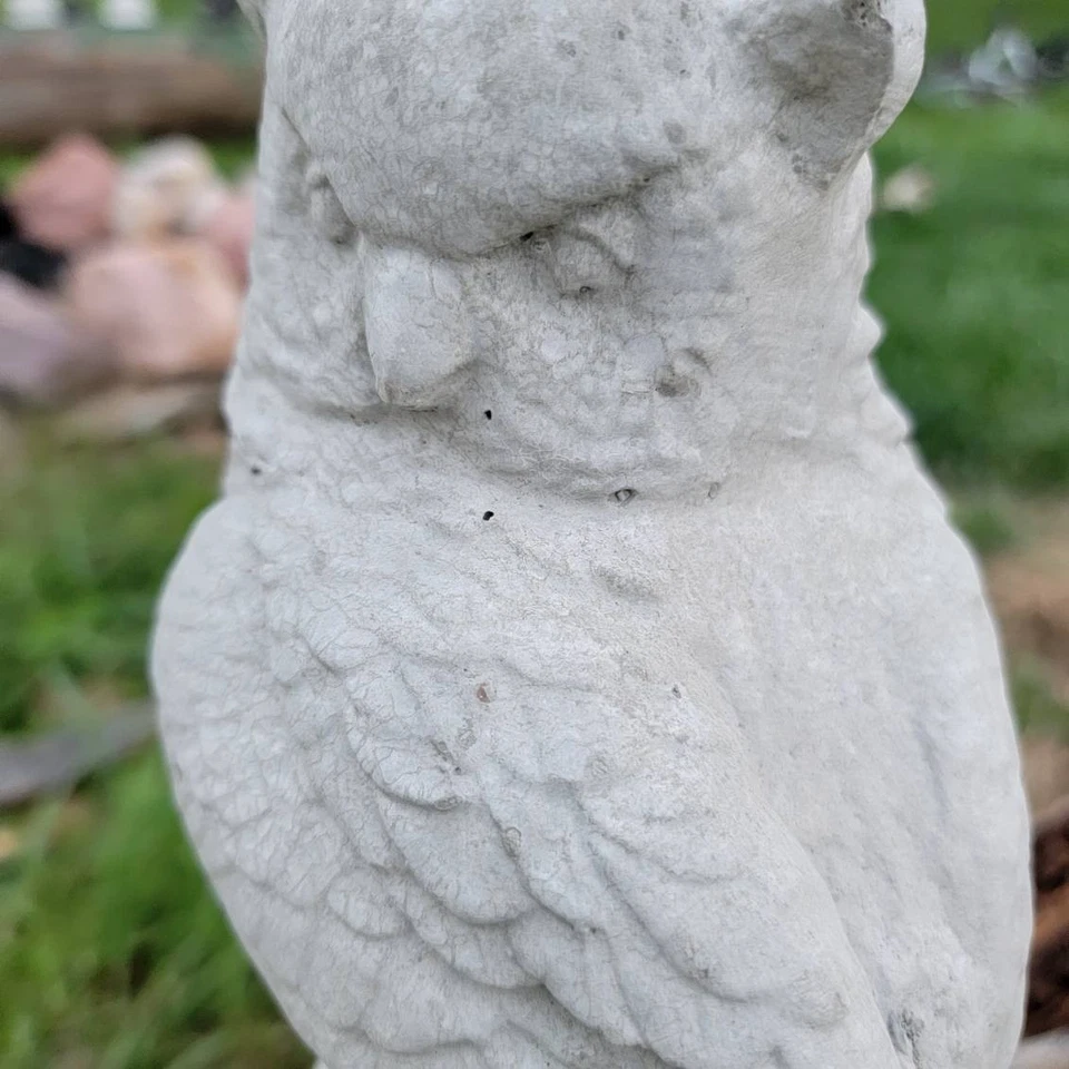 Бетонная статуя совы 13 дюймов высокий наконечник - Изображение 2 из 4