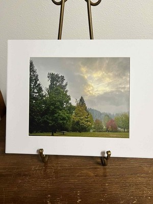 Jet Stream at Sunset Portland Oregon Matted 8x10 Photo PNW Landscape Art Signed