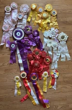 Lot Of 30 Vintage Pony Horse Equestrian Show Ribbons 1970s