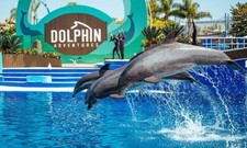 Sea World SeaWorld San Diego Tickets Huge Discount Tool (Weekends May Be Extra)
