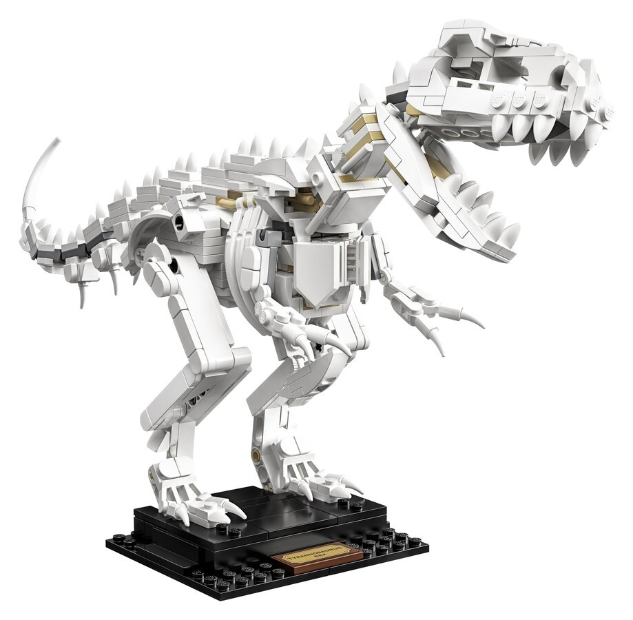 LEGO 21320 Ideas Dinosaur Fossils Tyrannosaurus Rex Triceratops