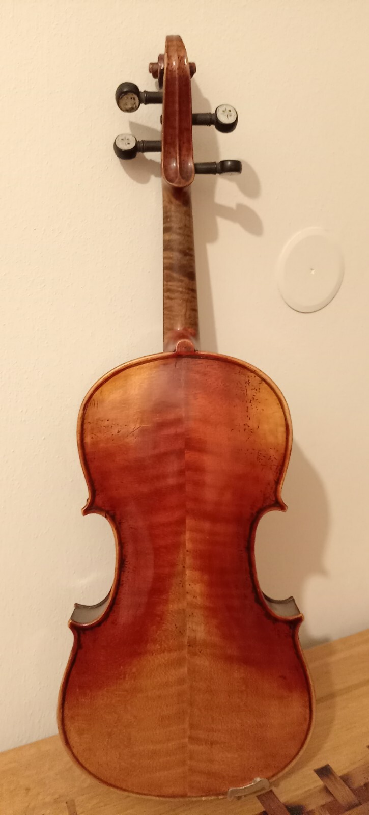 Picture 6 of 19