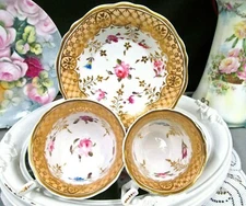 English Porcelain New Hall 1820s tea cup and saucer trio painted teacup rose 