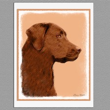 6 Labrador Retriever Chocolate Lab Art Note Greeting Cards