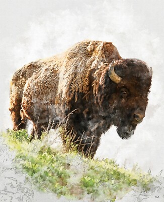 Natures Window Bison  Panel 36 x 43 cotton Riley Blake Buffalo