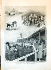 Old 1898 Sale Shire Horses Prince Wales Stud Faem Wolferton Banquet P Victorian