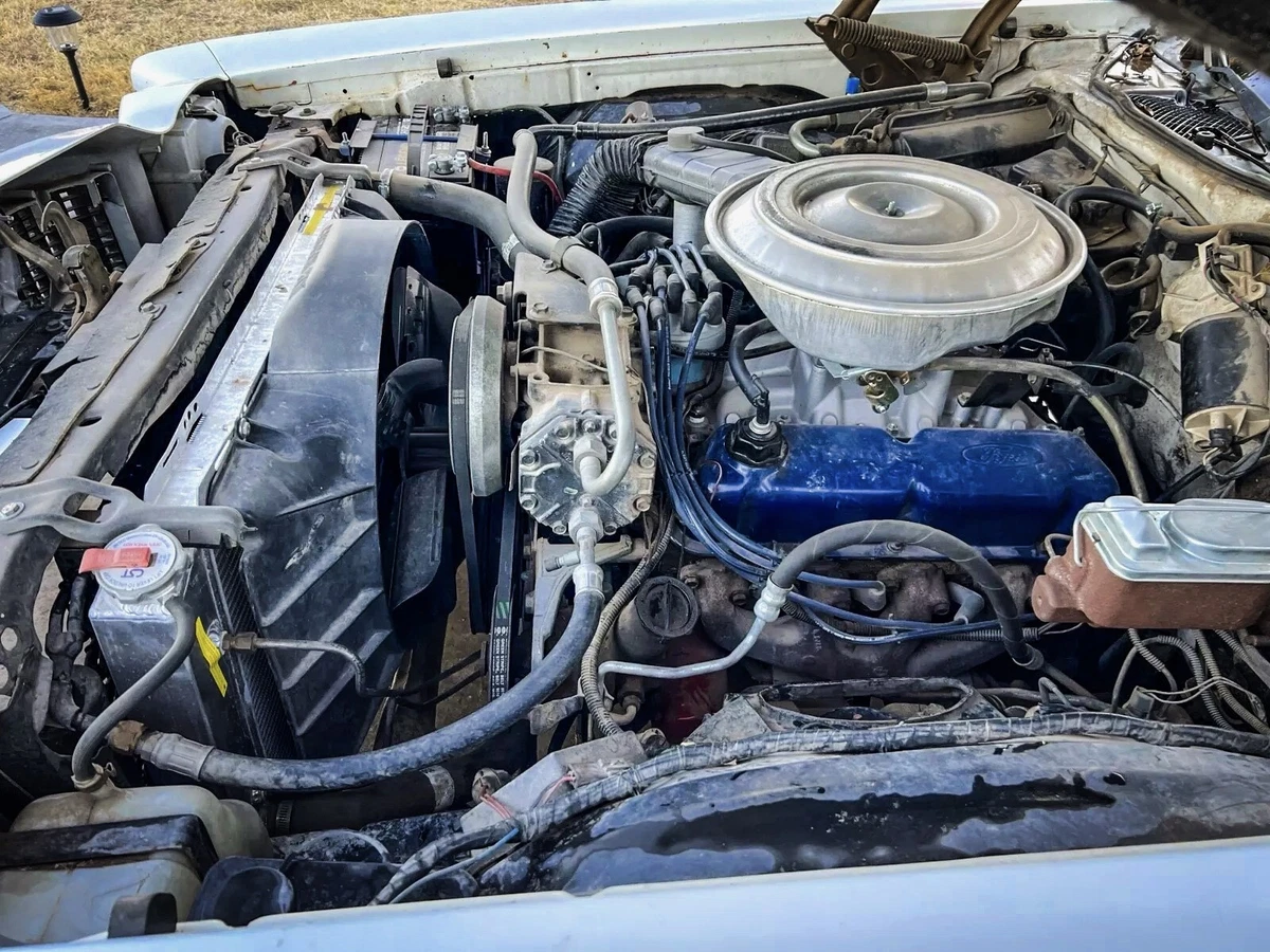 The 302 cubic-inch Ford V-8 engine is equipped with an Edlebrock four-barrel carburetor and intake manifold.