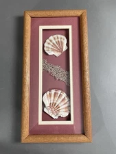 Coastal Art Decor Seashell Beach Neutrals Framed with Mat Print Beach House 14x7