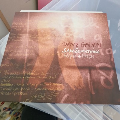 Dave Gahan - Saw Something Stickered Promo Vinyl Ltd 12'' Single in P/S 