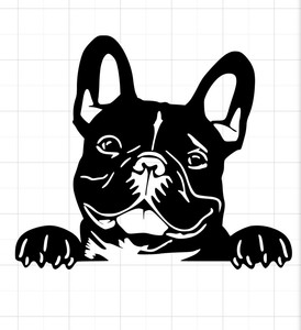 dog floatation harness