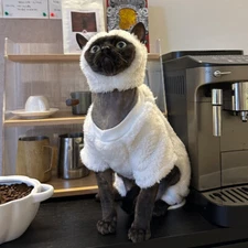 Winter Thickened Sweater Warm Sphynx Cat Sweater Hat Hairless Cat Clothes Coat