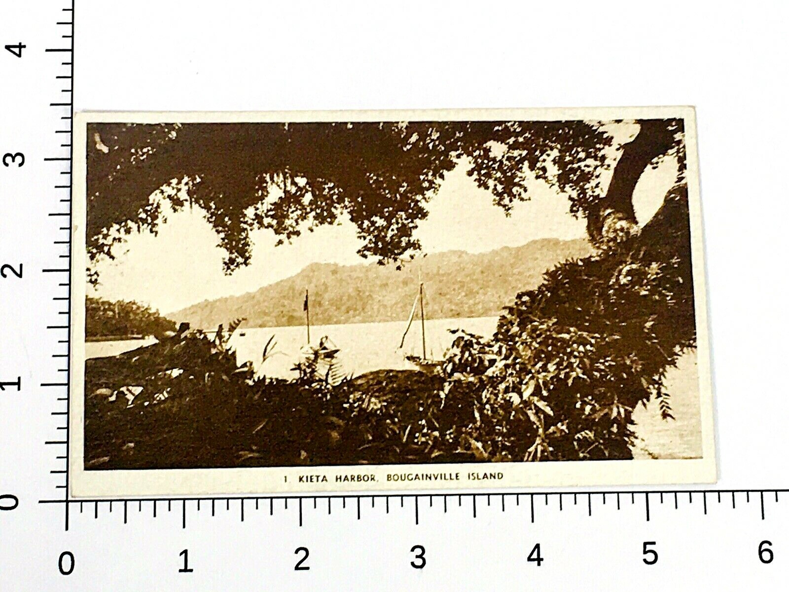 Picture 2 of 3