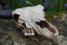 IN0300 TETE DE MORT SQUELETTE FIGURINE CRANE BISON VACHE STYLE INDIEN