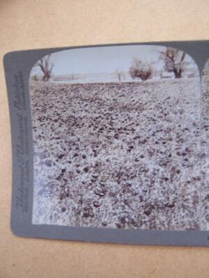 Stereoskop Stereo-View Stereoskop Palästina bitte nach unten scrollen weitere Bilder