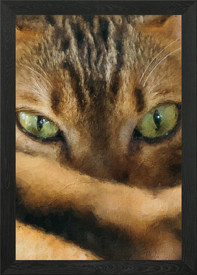 Katze erstaunliche grüne Augen gerahmtes Wandbild Poster Leinwanddruck Bild