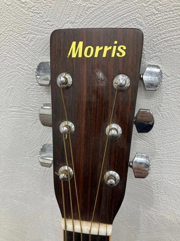 Corps de guitare acoustique Morris - Photo 2/4