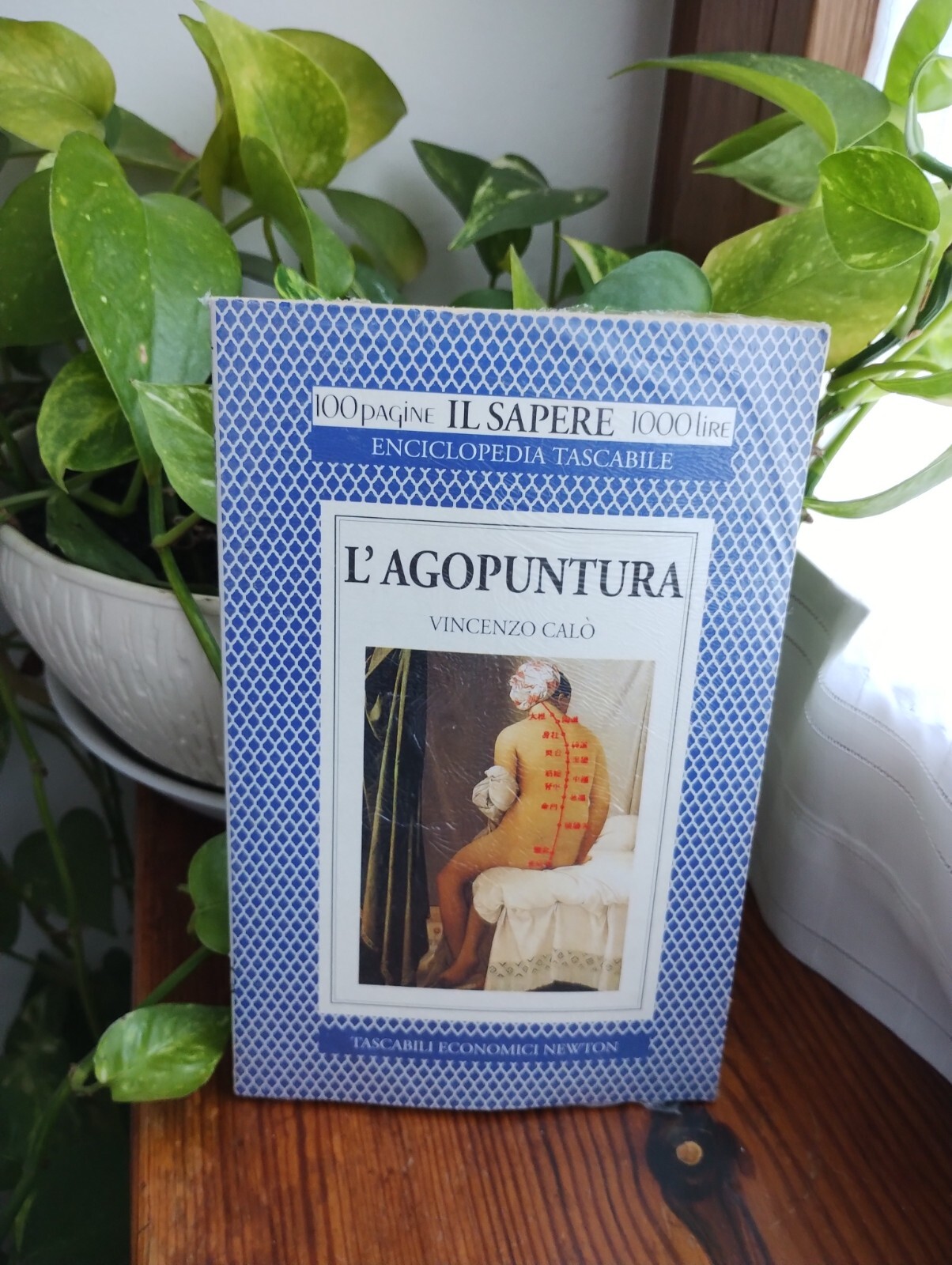 L'agopuntura - Vincenzo Calo' - 100 pagine 1000 lire