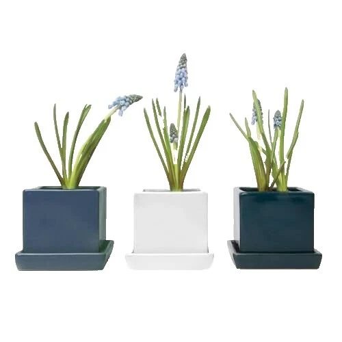 Planta de cerámica Multicolor canastas, macetas, cestas de pared de Ventana