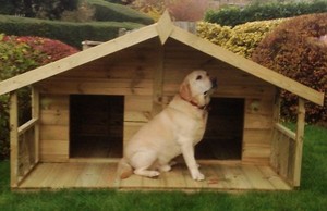 6x6 double wooden dog kennel inc veranda tanalised