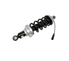 Audi R8 4S Rear Shock Strut Magnetic Ride 4S7512019C