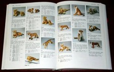 Steiff Sortiment 1947 - 1999. Steiff Assortiment 1947 - 1999 Buch GAF