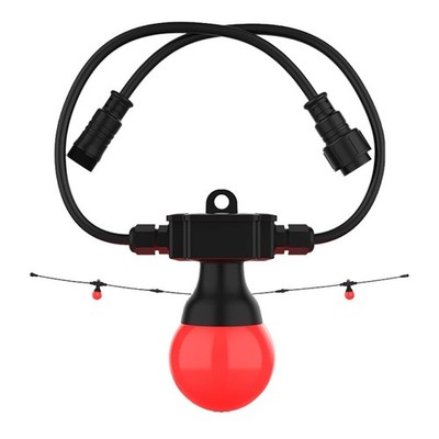 Chauvet DJ Festoon 2 RGB EXT Outdoor-rated RGB Light String
