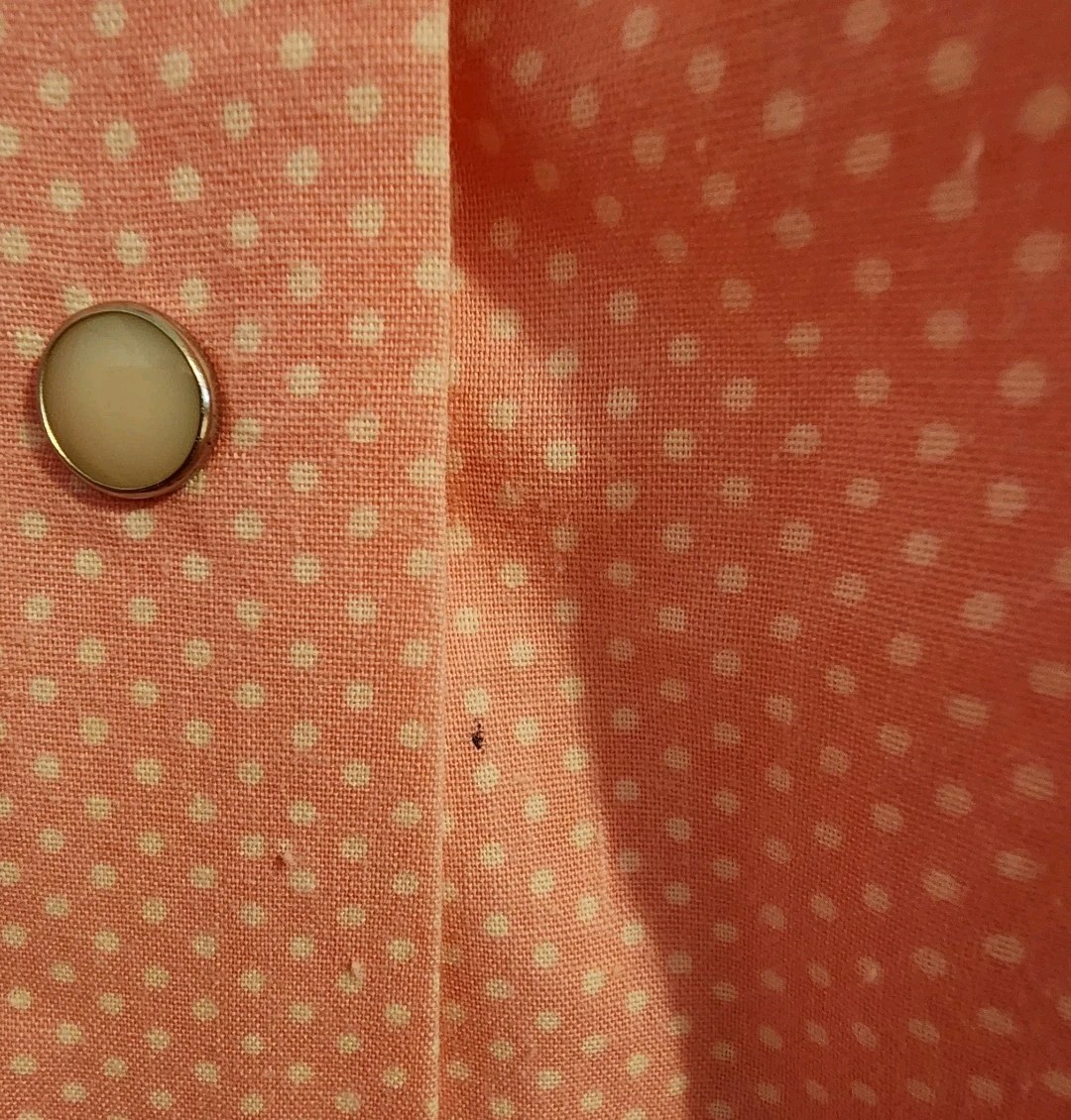 Picture 6 of 7
