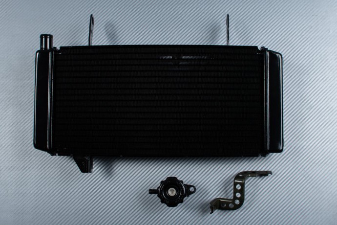 Radiateur eau en aluminium type origine pour moto Suzuki SV 1000 S WVBX