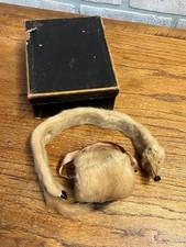 Antique Victorian Edwardian Child s Fur Mink Muff Hand Warmer Collar w/ Box