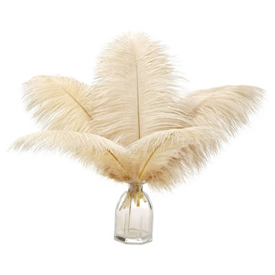 Ballinger Champagne Ostrich Feathers Bulk - 12Pcs 12-14 inch, 