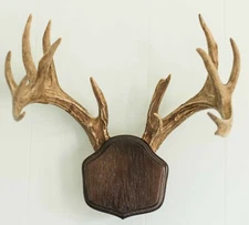 Dark Oak The Deer Stand Antler Mounting Kit