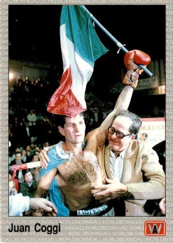 Vintage AW Sports 1991 All World Boxing Premier Edition Single Cards - You Pick - Picture 86 of 225