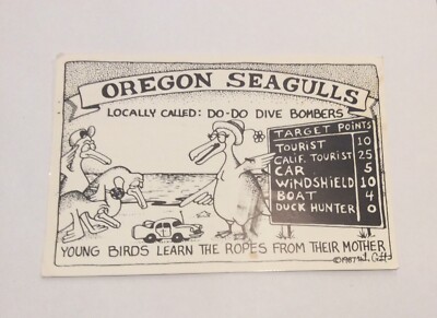 Oregon Seagulls Locally Called Do-Do Dive Bombers Postcard