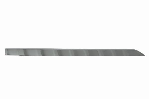 Right Rear BLIC 5703-04-6001578P Trim/Protection Strip, door for RENAULT