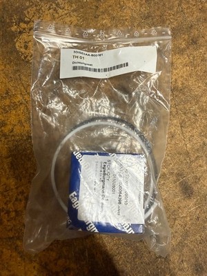 Brinkmann Immersion Pumps EagleBurgmann Seal Kit 3DISE0AA-B00061 (NEW)