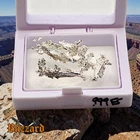 15g .999 Fine Crystalline Silver Specimens + Display Case - Super Cool Refined