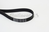 Continental Ctam 6PK1125 V-Rippenriemen FüR Audi, CitroëN, Fiat, Lada, Peugeot