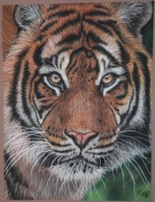 Original Pastel Painting Tiger