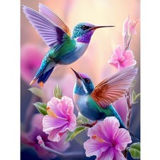 Hummingbirds Diamond Art Painting Kits for Adults Beginner,DIY 5D Full Round ...